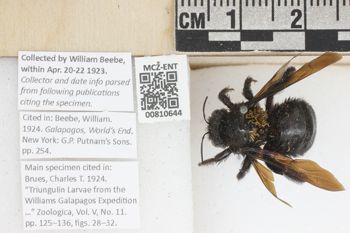 Media type: image;   Entomology 810644 Aspect: labels